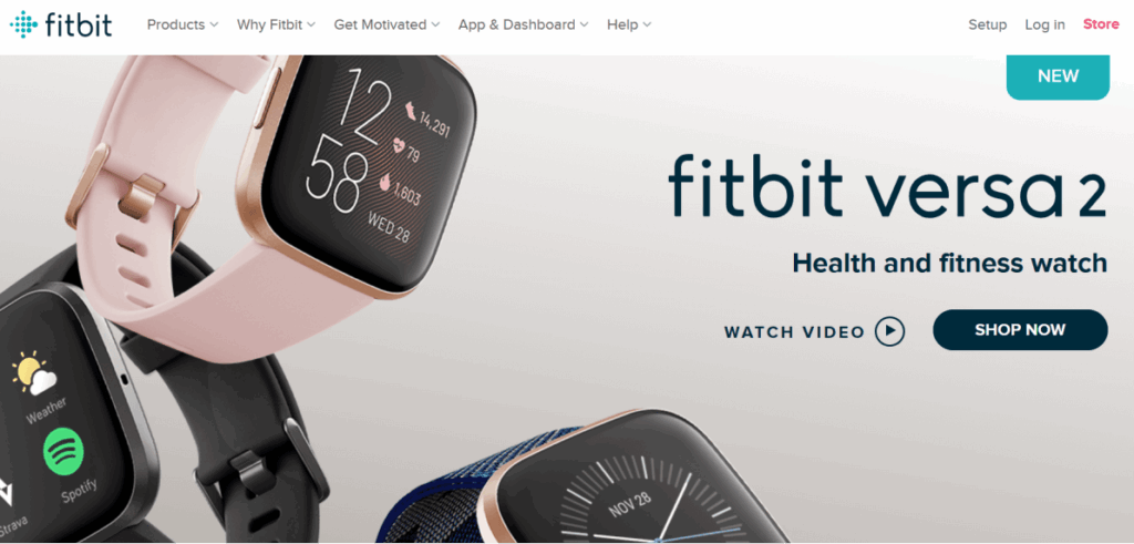 Fitbit Health Strategy Fitbit health strategy showing fitness and wellness metrics