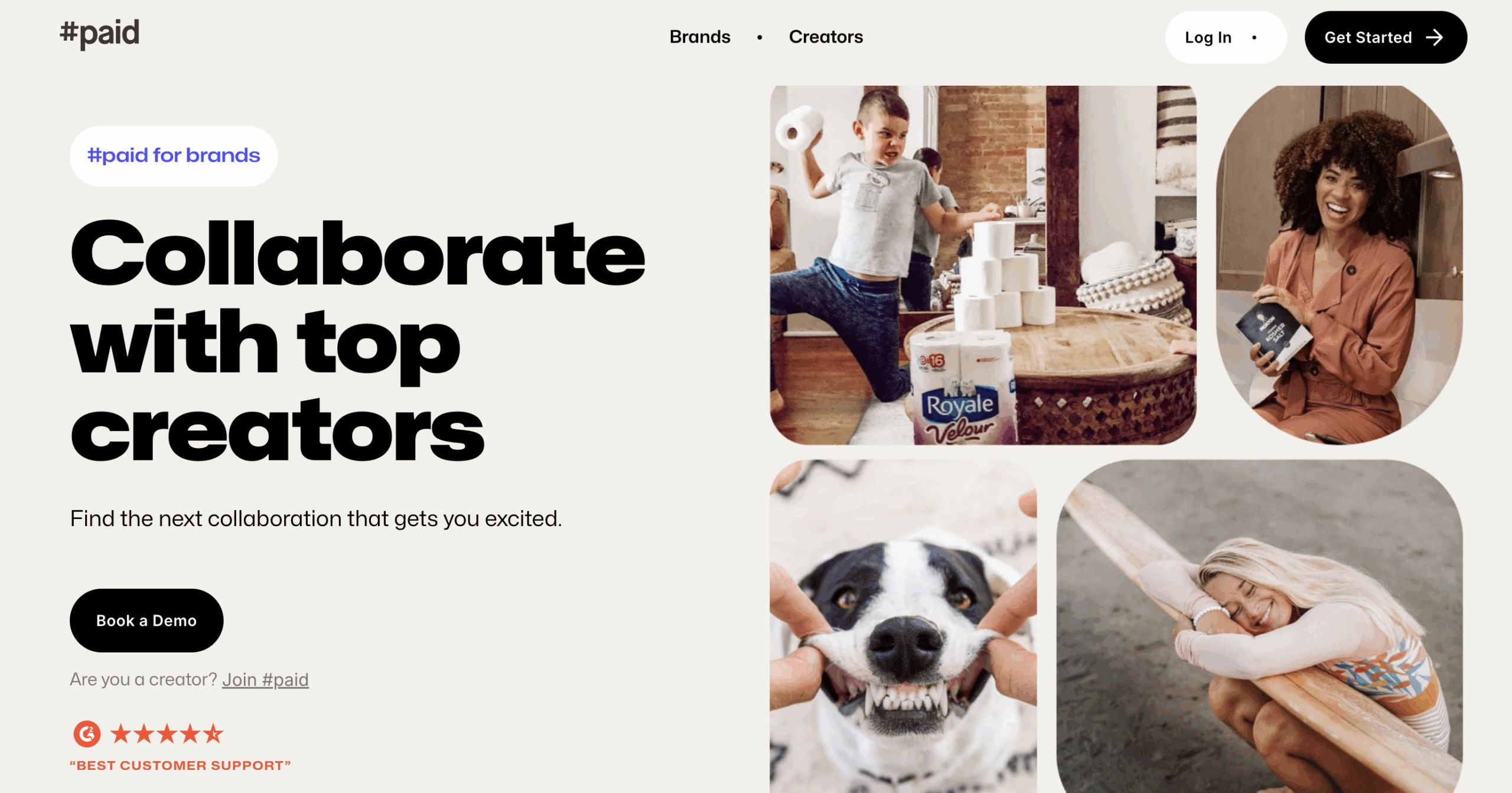 #paid Review: Pricing, Features, Pros & Cons